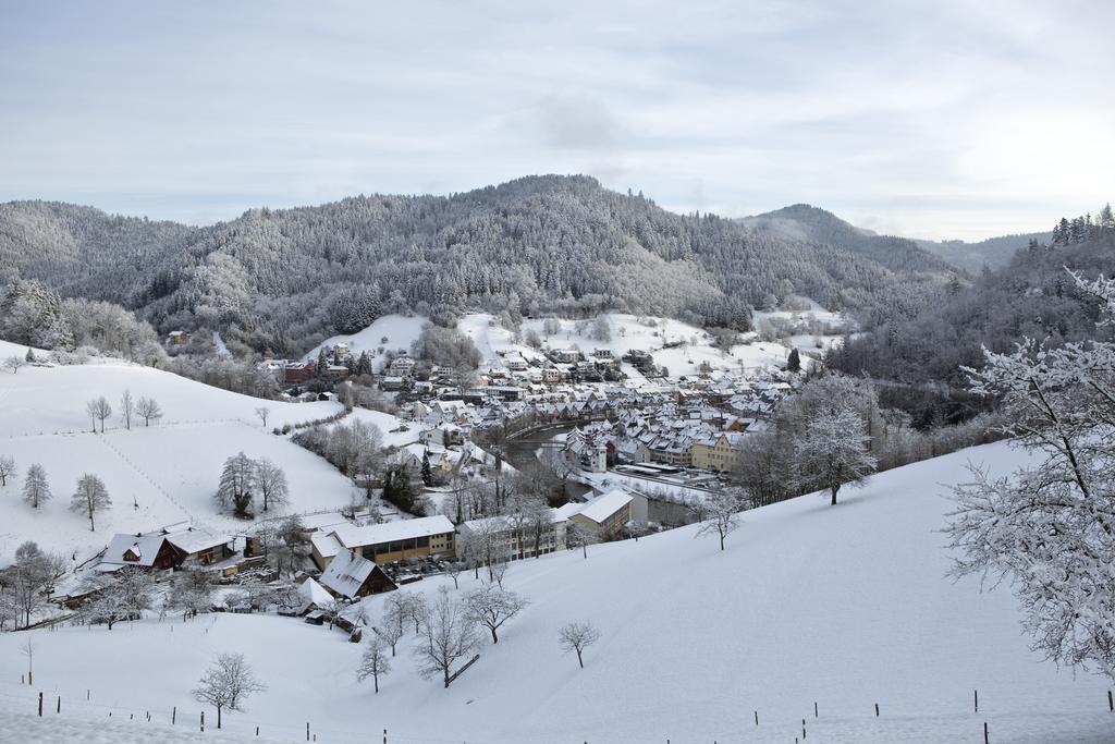 Kurgarten-Hotel Wolfach Exteriér fotografie